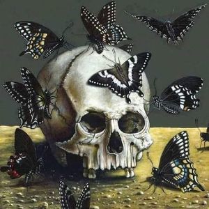 Meet your Posher, Staci